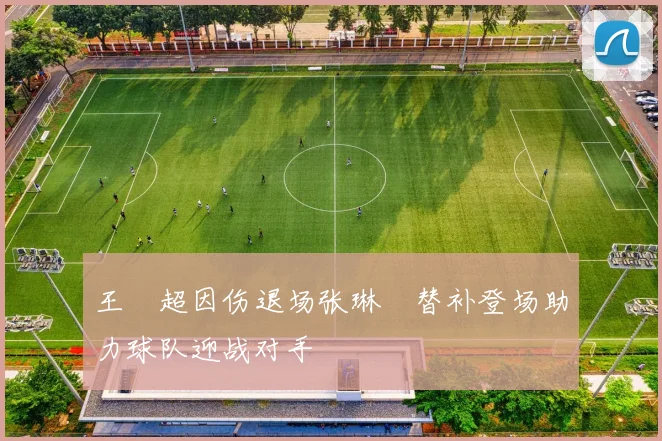 王燊超因伤退场张琳芃替补登场助力球队迎战对手
