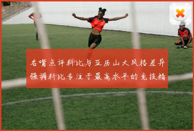 名嘴点评科比与亚历山大风格差异强调科比专注于最高水平的竞技精神